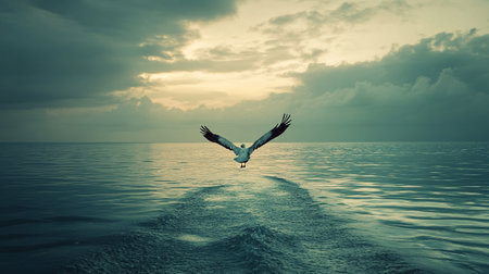 Seagull flying above the sea at sunset. 3d renderingの写真素材