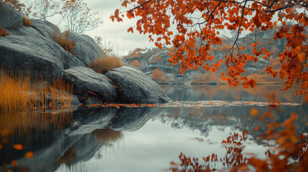 Beautiful autumn landscape with a lake and colorful trees on the shoreの写真素材