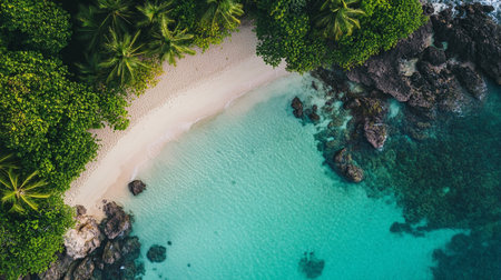 Aerial view of beautiful beach and sea with coconut palm tree at Seychellesの写真素材