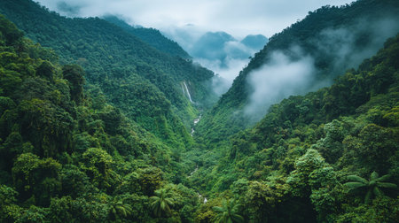 Mountain landscape with fog and waterfalls in the rainforest.の写真素材