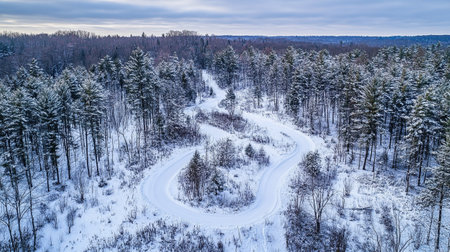 Aerial view of winter road in the forest. Winter landscape.の写真素材