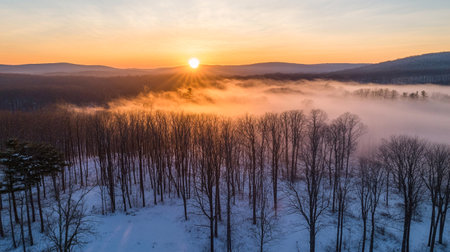 Aerial view of winter landscape with fog in forest at sunset.の写真素材