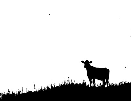Silhouette of a cow on a meadow. Vector illustration.のイラスト素材