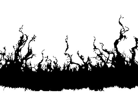 Silhouette of dead trees on white background. Vector illustration.のイラスト素材