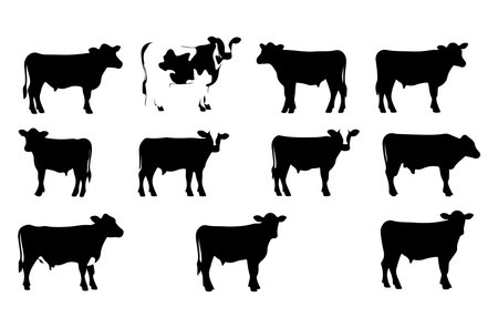 Black silhouettes of cows on a white background. Vector illustration.のイラスト素材