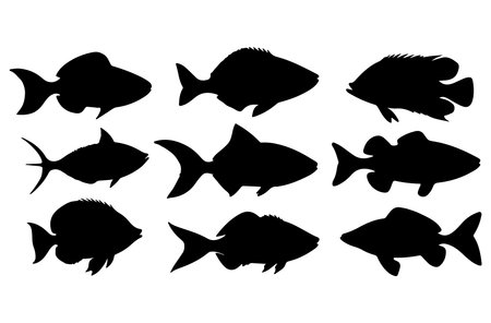 Set of black silhouettes of fish on a white background. Vector illustrationのイラスト素材