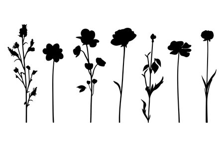 Black silhouettes of flowers on a white background. Vector illustration.のイラスト素材