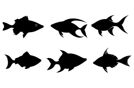 Set of black fish silhouettes on white background. Vector illustration.のイラスト素材