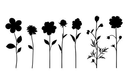 Set of black silhouettes of flowers on a white background. Vector illustrationのイラスト素材