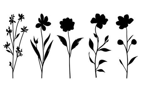 Set of black silhouettes of flowers and leaves. Vector illustration.のイラスト素材