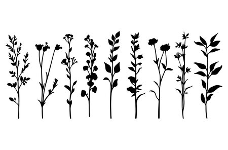 Set of silhouettes of wild flowers and plants. Vector illustration.のイラスト素材