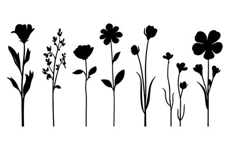 Set of black silhouettes of flowers and plants. Vector illustration.のイラスト素材