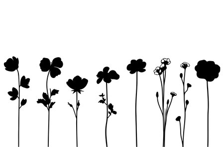 Black flowers silhouettes isolated on a white background. Vector illustration.のイラスト素材