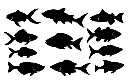Set of silhouettes of fish on a white background. Vector illustrationのイラスト素材