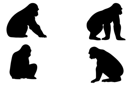 Vector illustration of gorilla silhouette on a white background. Symbol of animal.のイラスト素材