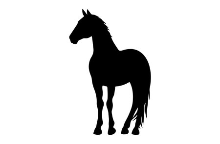 Black silhouette of a horse on a white background. Vector illustration.のイラスト素材
