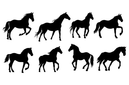 Horse silhouettes set isolated on white background. Vector illustration.のイラスト素材