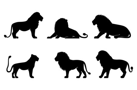 Set of silhouettes of lions on a white background. Vector illustrationのイラスト素材