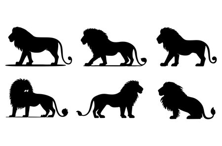 Set of silhouettes of lions on a white background. Vector illustrationのイラスト素材