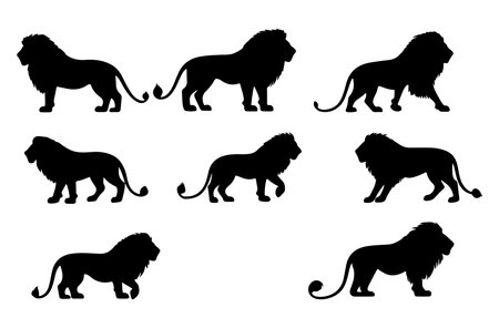 Lion vector icon set. Collection of black silhouettes of lions isolated on white background.のイラスト素材