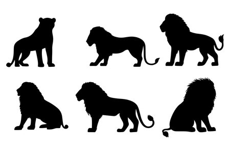 Lion silhouette vector illustration isolated on white background. Collection of different types of lions.のイラスト素材