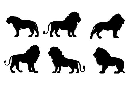 Set of silhouettes of lions on a white background. Vector illustrationのイラスト素材