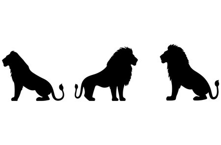 Silhouette of lions on a white background. Vector illustration.のイラスト素材