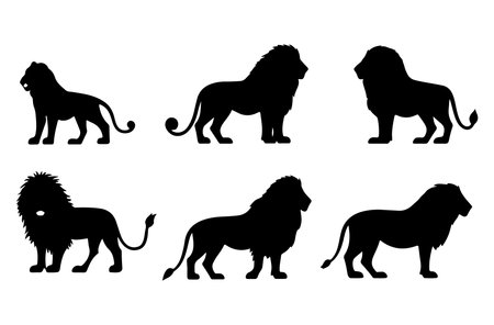 Set of black silhouettes of lions on a white background. Vector illustrationのイラスト素材