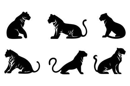 Set of silhouettes of tigers on a white background. Vector illustrationのイラスト素材