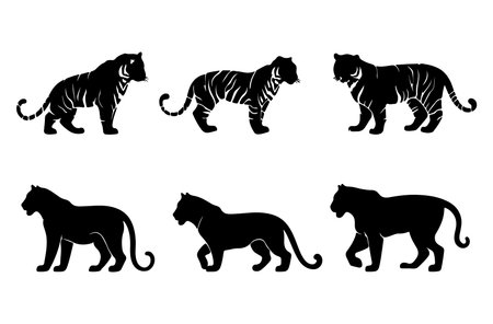 Set of tiger silhouettes isolated on white background. Vector illustration.のイラスト素材
