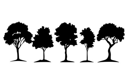 Set of trees silhouettes isolated on white background. Vector illustration.のイラスト素材