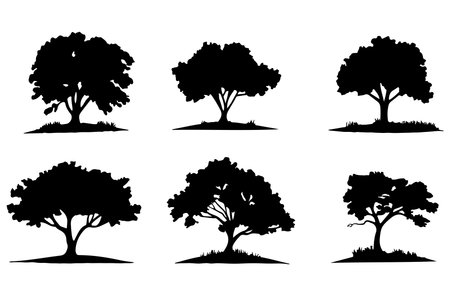 Set of silhouettes of trees isolated on white background. Vector illustration.のイラスト素材
