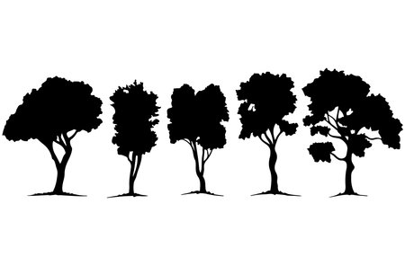 Set of trees silhouettes isolated on white background. Vector illustration.のイラスト素材