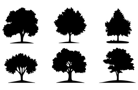 Set of silhouettes of trees. Vector illustration isolated on white background.のイラスト素材