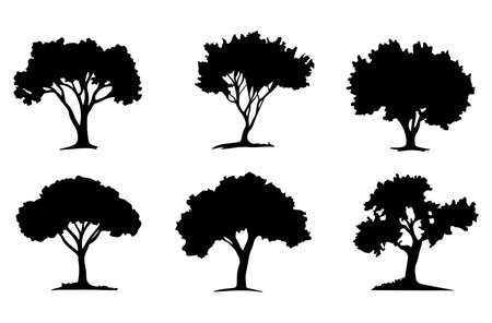 Set of tree silhouettes isolated on white background. Vector illustration.のイラスト素材