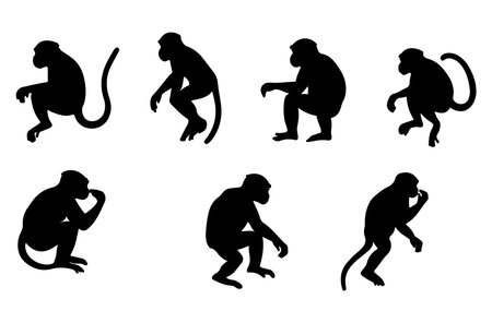Monkey silhouettes set. Vector illustration isolated on white background.のイラスト素材