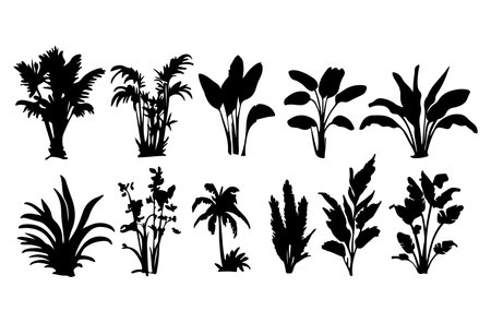 Set of silhouettes of tropical plants. Vector illustration isolated on white background.のイラスト素材