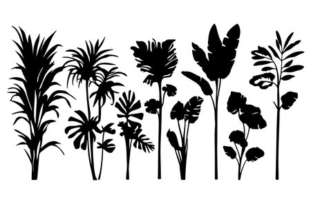 Set of silhouettes of tropical plants and leaves. Vector illustration.のイラスト素材