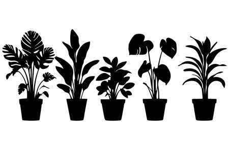 Illustration of houseplants in pots on a white background.のイラスト素材