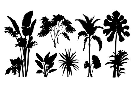 Set of silhouettes of tropical plants and flowers. Vector illustration.のイラスト素材