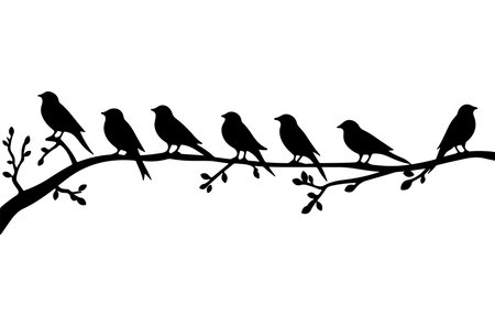 Silhouette of birds on a branch. Black and white illustration.のイラスト素材
