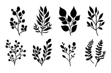 Set of silhouettes of leaves and twigs. Vector illustration.のイラスト素材