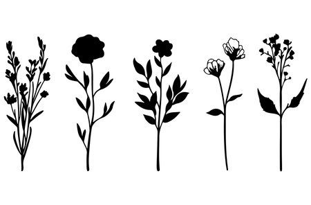 Set of black silhouettes of wildflowers. Vector illustration.のイラスト素材
