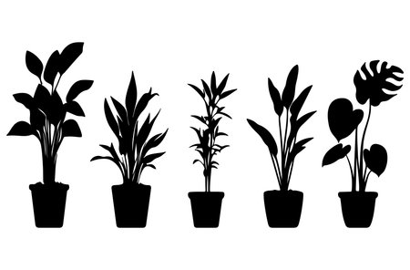 Illustration of house plants in pots on a white background. Vector illustrationのイラスト素材