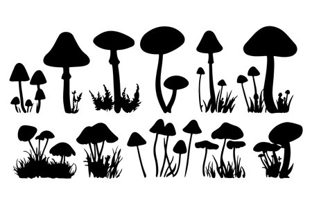 mushrooms silhouettes, isolated on white background. vector illustrationのイラスト素材