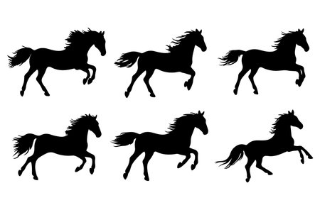 Set of black horses silhouettes isolated on white background. Vector illustrationのイラスト素材