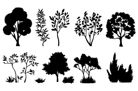 Set of black silhouettes of trees and bushes. Vector illustration.のイラスト素材
