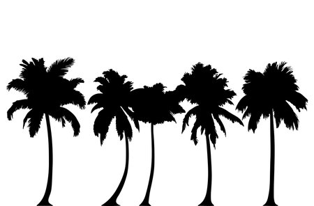 palm trees silhouettes isolated on white background. vector illustration.のイラスト素材
