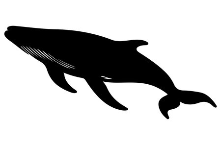 silhouette of a whale on a white background, vector illustrationのイラスト素材