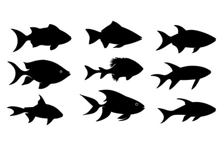 Set of black silhouettes of fish on a white background. Vector illustrationのイラスト素材